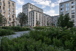 Квартал Новин